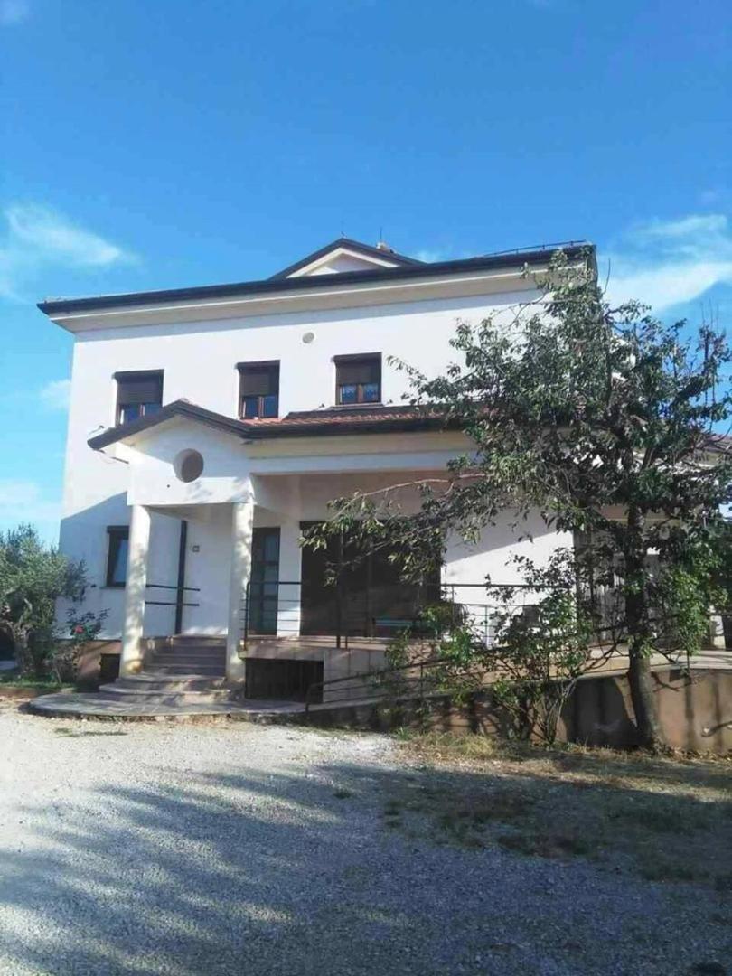 Narcisa With Terrace Apartment